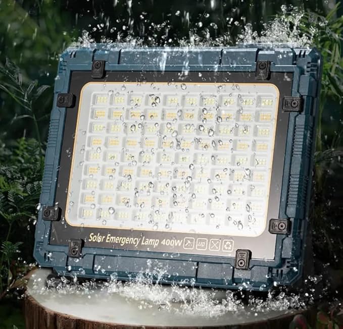 Solar portable light