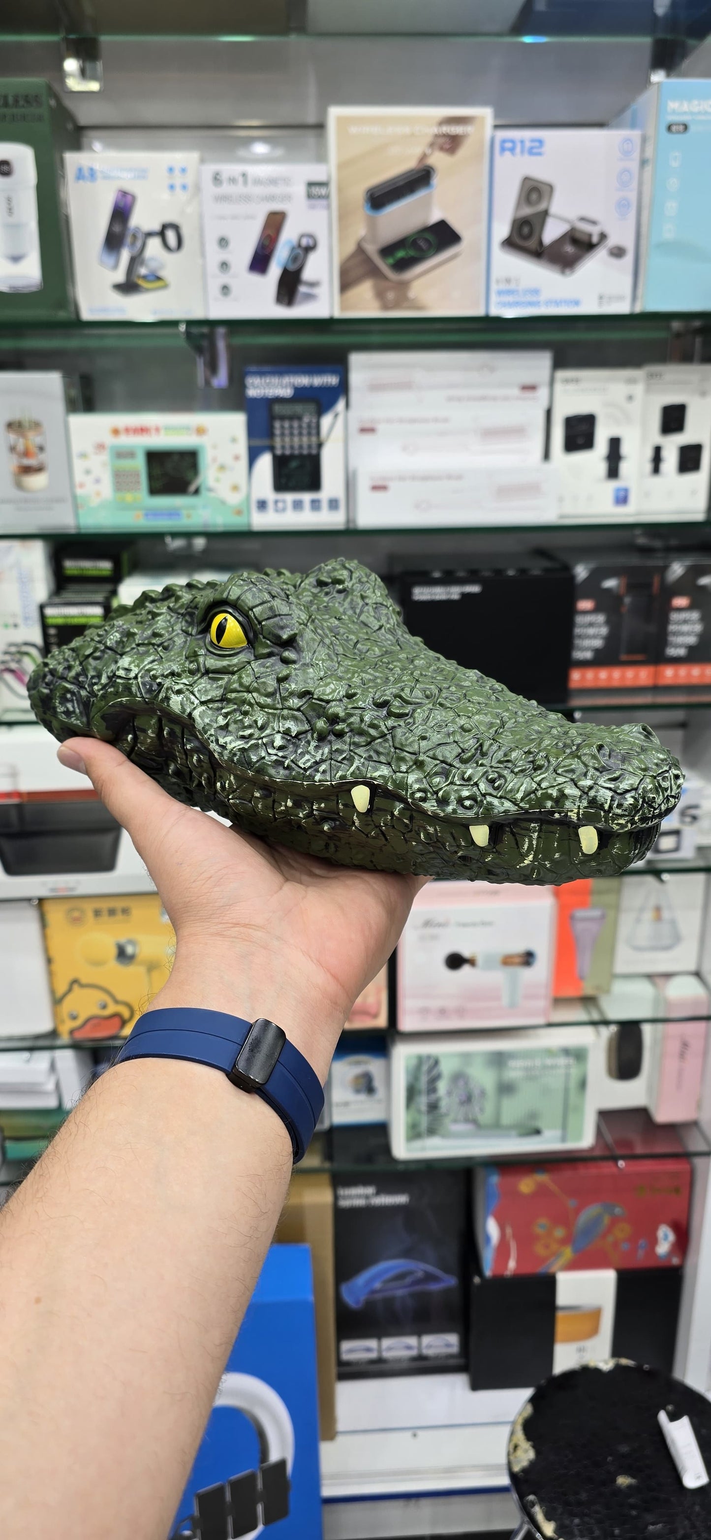 Crocodile Animal Simulation Ship