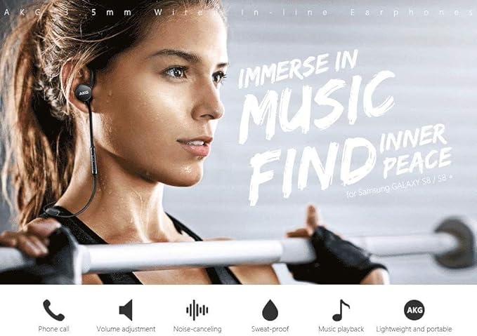 Samsung Earphones