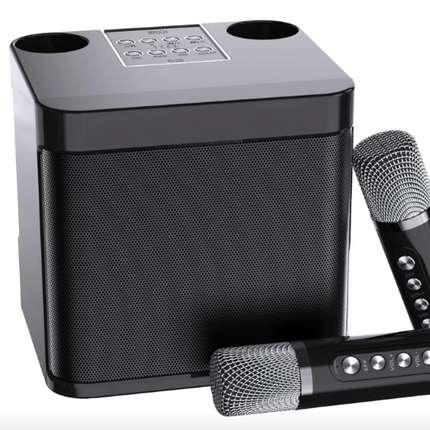 Mini Karaoke Machine for Adults and Kids - Portable Bluetooth Speaker with 2 Wireless Microphones, PA System for Indoor/Outdoor Parties (Elegant Black)
