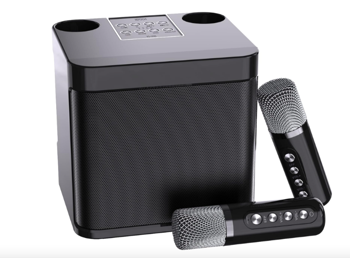 Mini Karaoke Machine for Adults and Kids - Portable Bluetooth Speaker with 2 Wireless Microphones, PA System for Indoor/Outdoor Parties (Elegant Black)