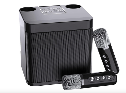 Mini Karaoke Machine for Adults and Kids - Portable Bluetooth Speaker with 2 Wireless Microphones, PA System for Indoor/Outdoor Parties (Elegant Black)