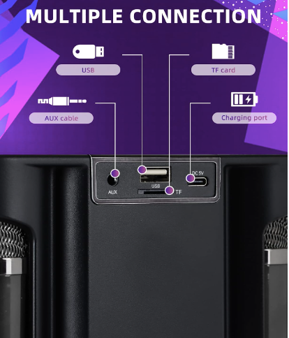 Mini Karaoke Machine for Adults and Kids - Portable Bluetooth Speaker with 2 Wireless Microphones, PA System for Indoor/Outdoor Parties (Elegant Black)