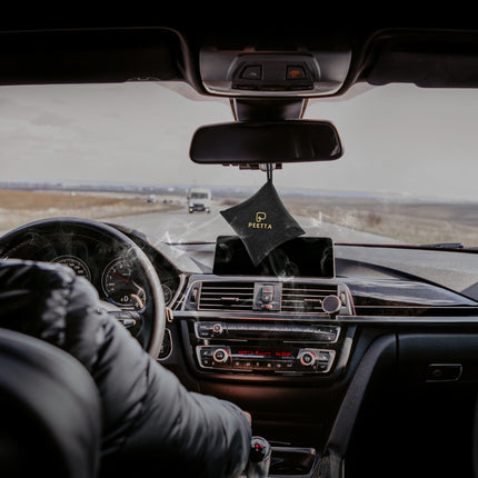 PEETTA Non-Electric Activated Car Air Purifier