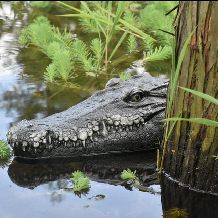Crocodile Animal Simulation Ship