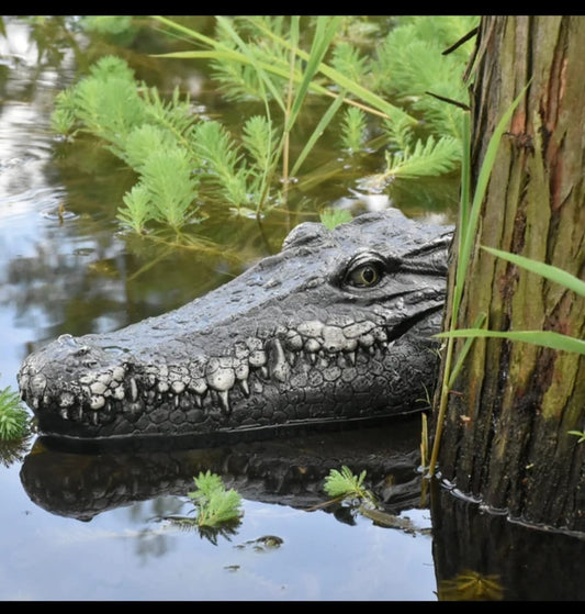 Crocodile Animal Simulation Ship
