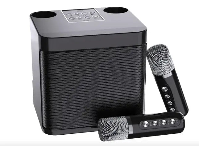 Mini Karaoke Machine for Adults and Kids - Portable Bluetooth Speaker with 2 Wireless Microphones, PA System for Indoor/Outdoor Parties (Elegant Black)